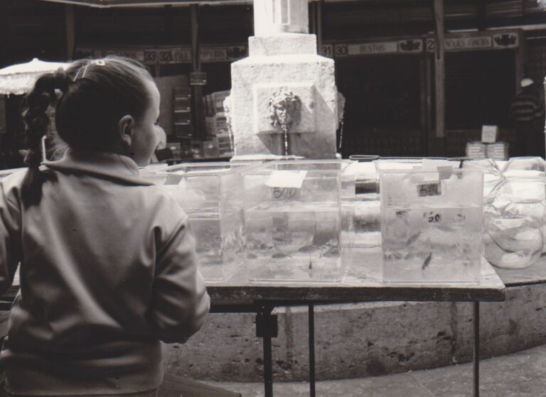 41a5a552 f938 420f a0df 14c73a82047c source aspect ratio default 0 768x559