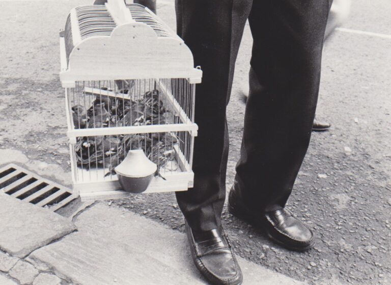 8d6095cb c891 40f9 b14d 1d4507619a33 source aspect ratio default 0 768x559